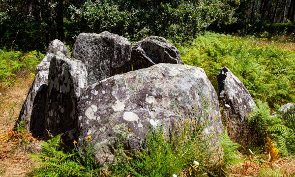 Dolmen de Argalo