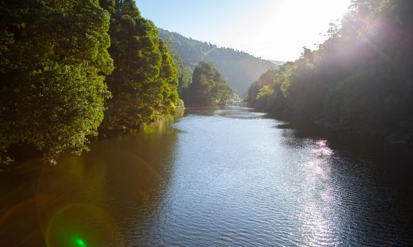 River, reservoir and estuary of the Tambre