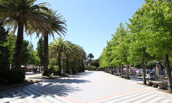 Alameda and Felipe de Castro gardens