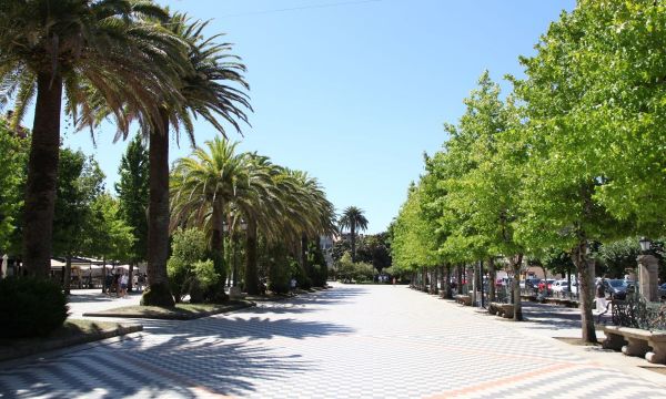 “Alameda” and Felipe de Castro Gardens