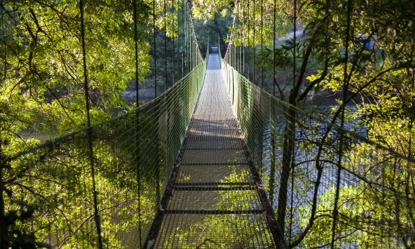 Puente colgante