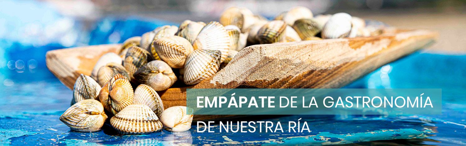 Empápate de la gastronomía de nuestra ría