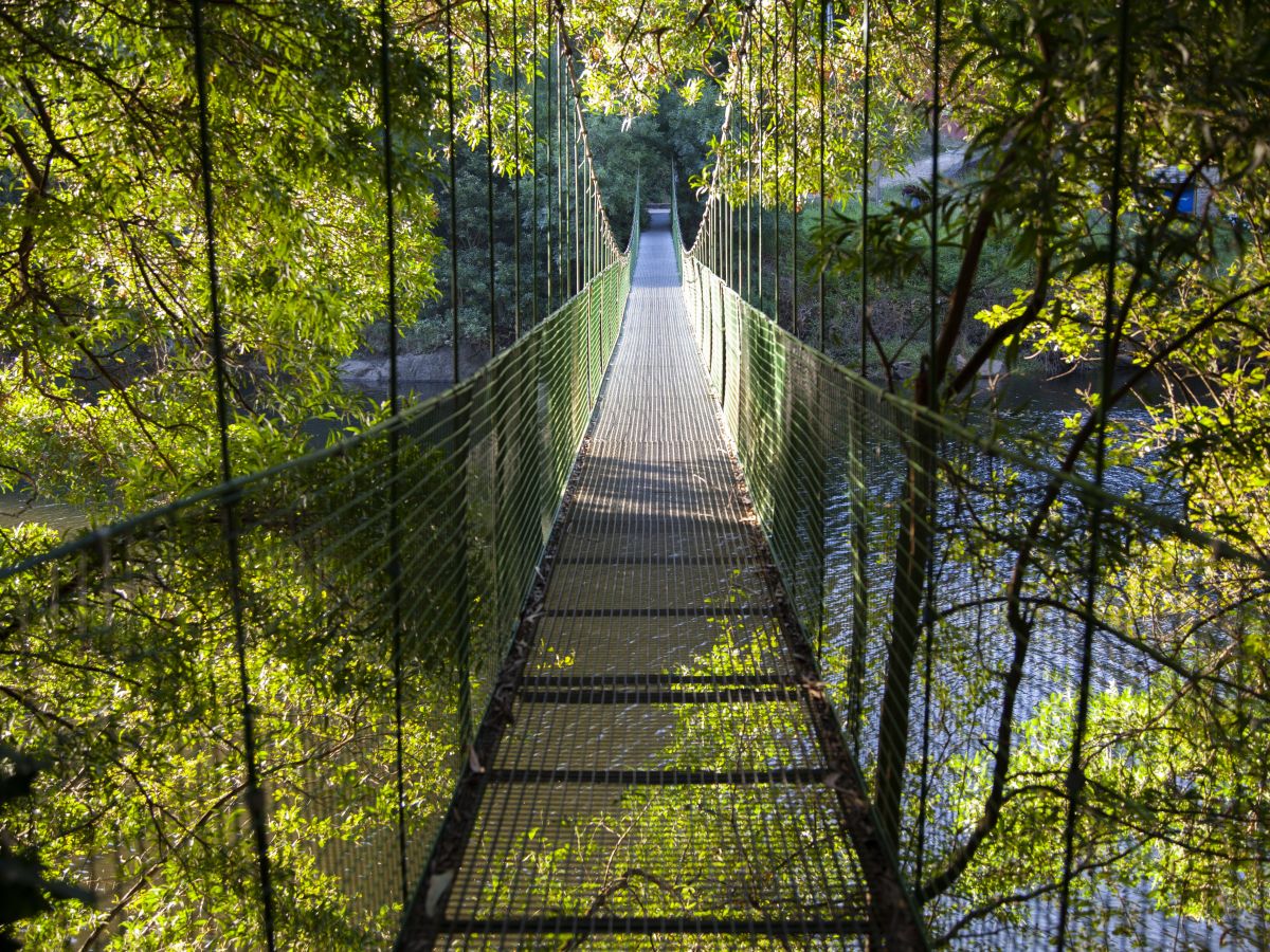 Suspension bridge